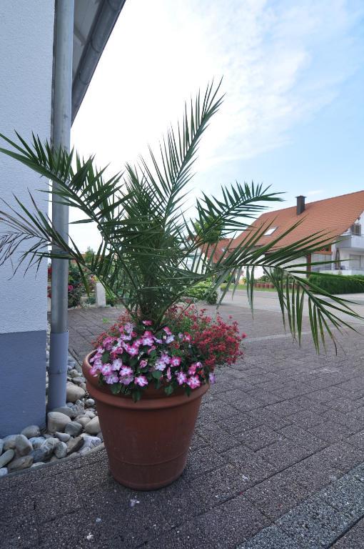 Double Two Lodge Kappel-Grafenhausen Exterior photo